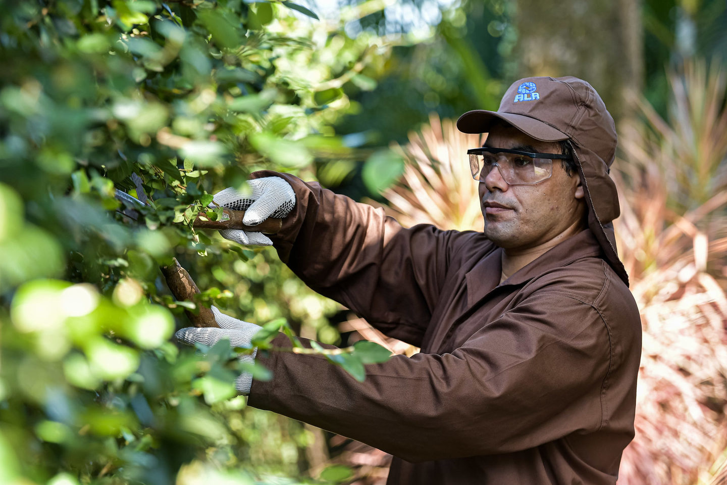 Banco de Imagens Empresarial
